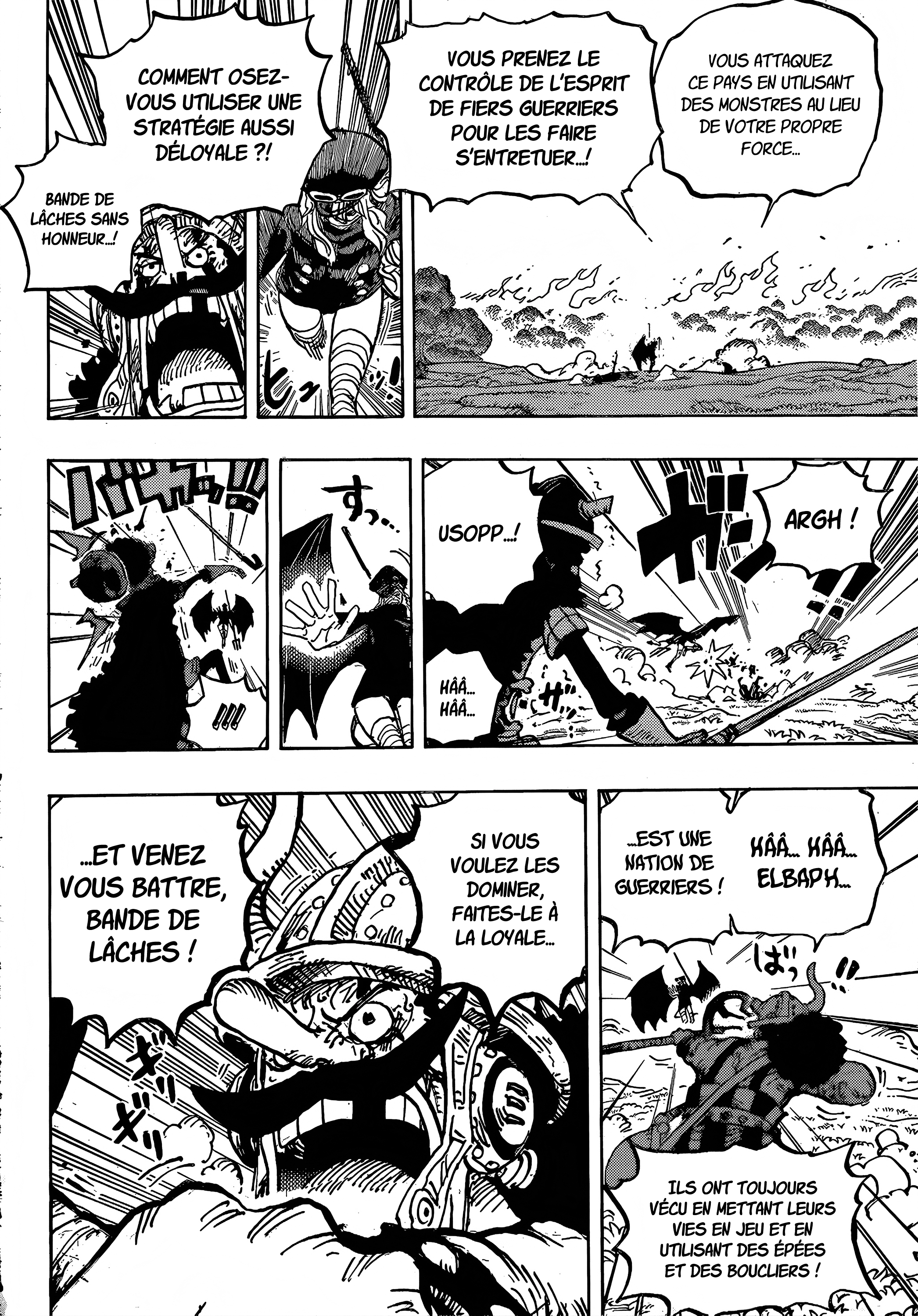       One   Piece Colere Page 15